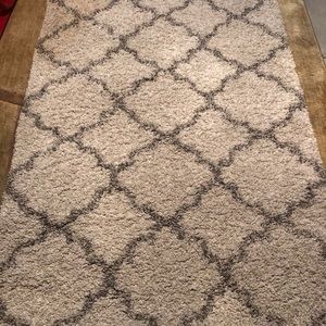 Shag Rug 4X6 in GREAT condition.